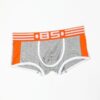 BS101-gray