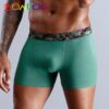 B5 green