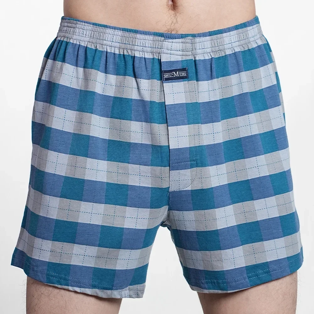 Blue Plaid